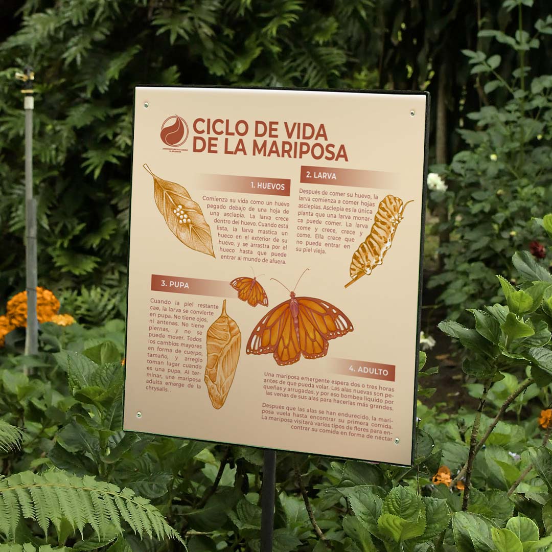 Jardín Botánico