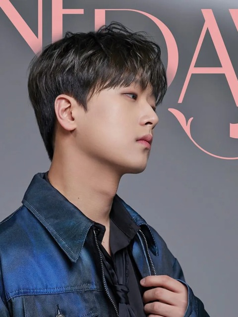 Lee Chan Won