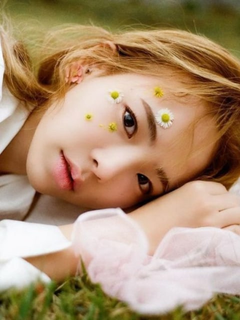 Sungdam