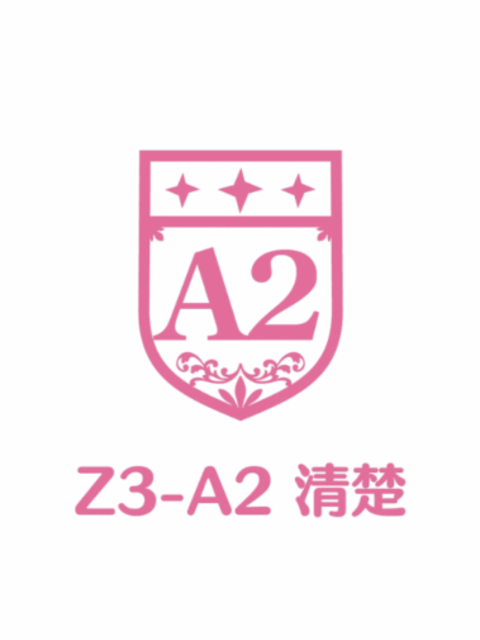 Z3-A2