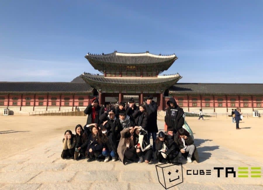 CUBE TREE (Cube Trainees)