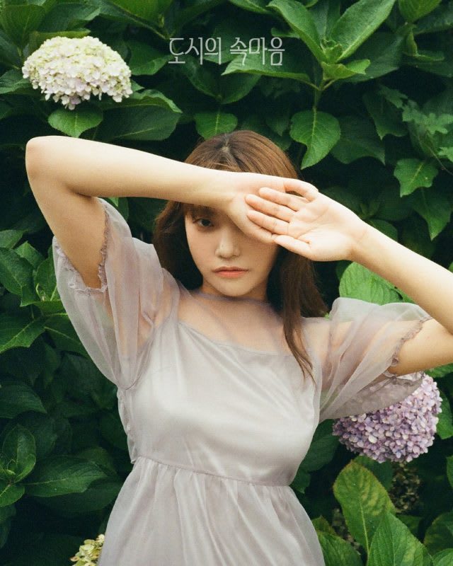 Lee Jin Ah