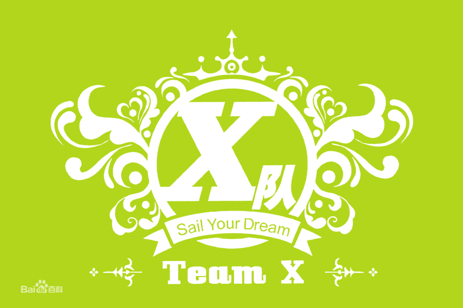 SNH48 Team X