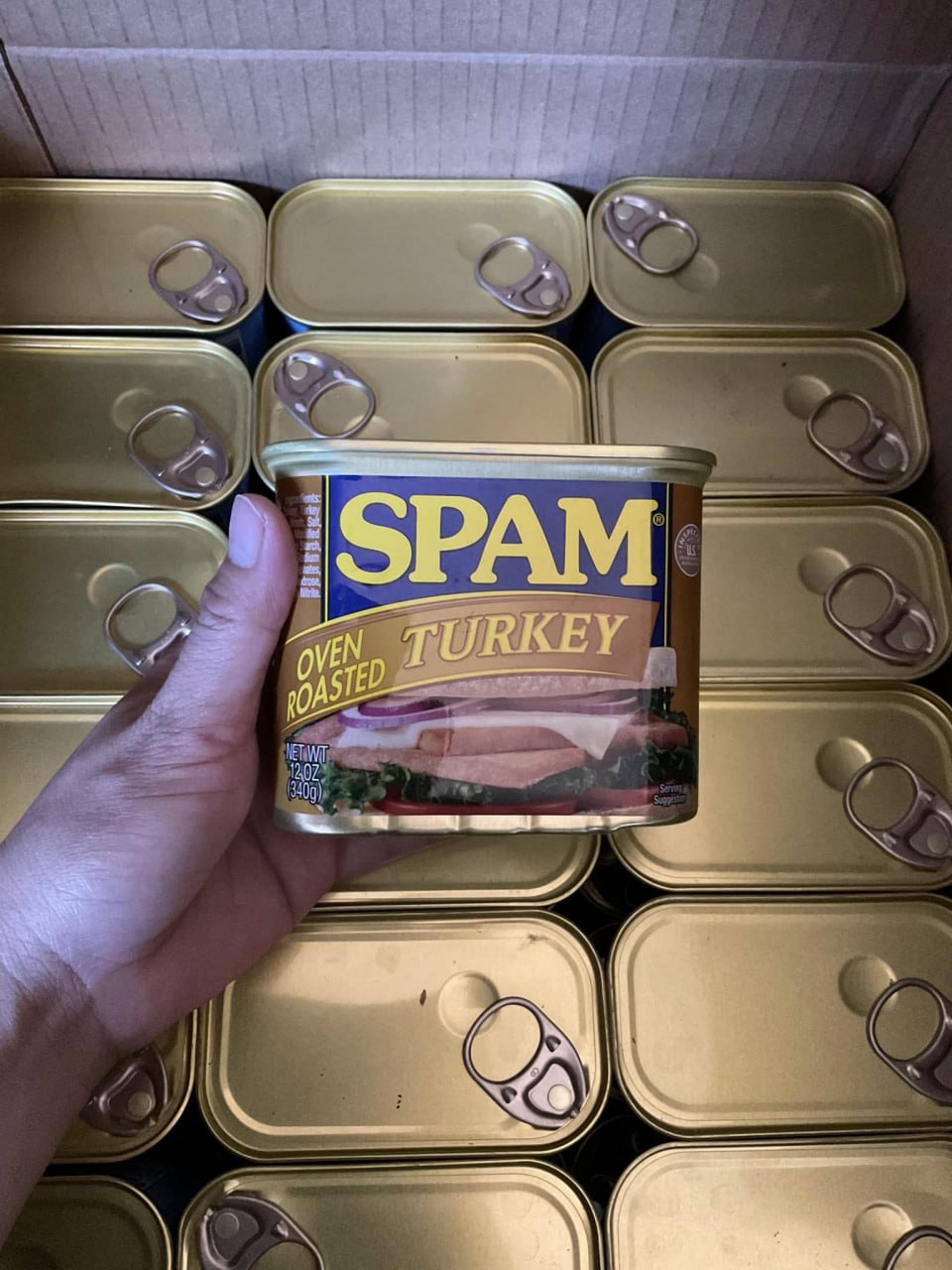 SPAM TURKEY
