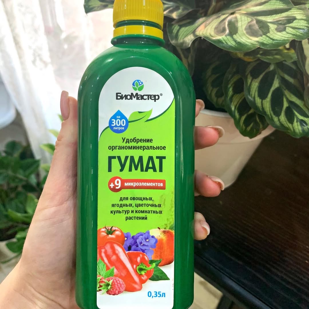 PUPUK BIOHUMATE