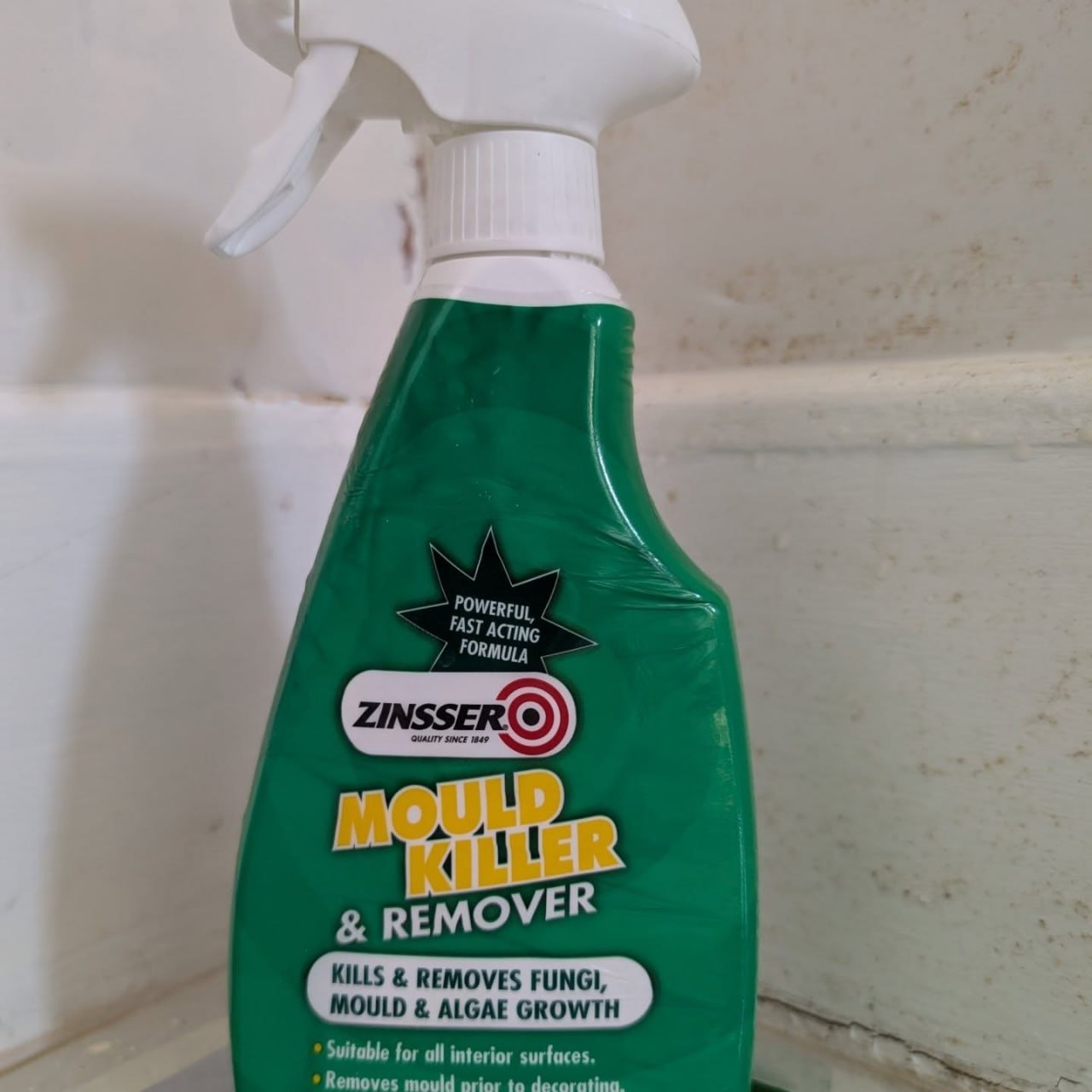 Zinsser Mould Killer & Remover