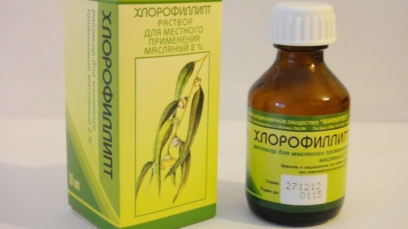 Хлорофиллипт для полоскания горла. Хлорофиллипт раствор вифитех. Хлорофиллипт 2%. Хлорофиллипт масляный можно детям. Хлорофиллипт спиртовой 1%.