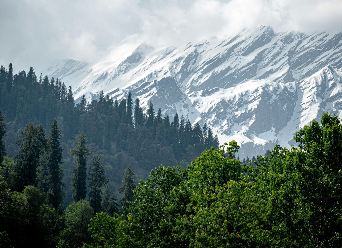 Manali Trip Photo 2