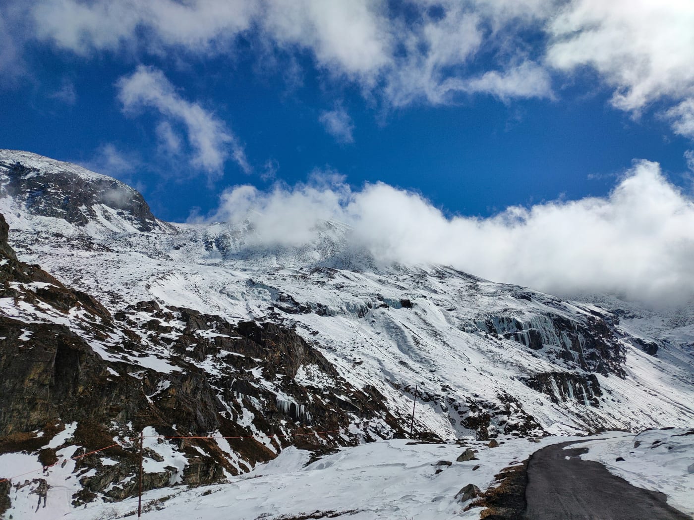 Yumthang Valley flowers Valley of Flowers North Sikkim