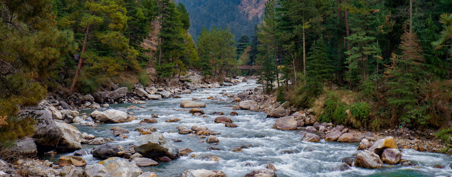 Exotic Shimla Kasol Manali
