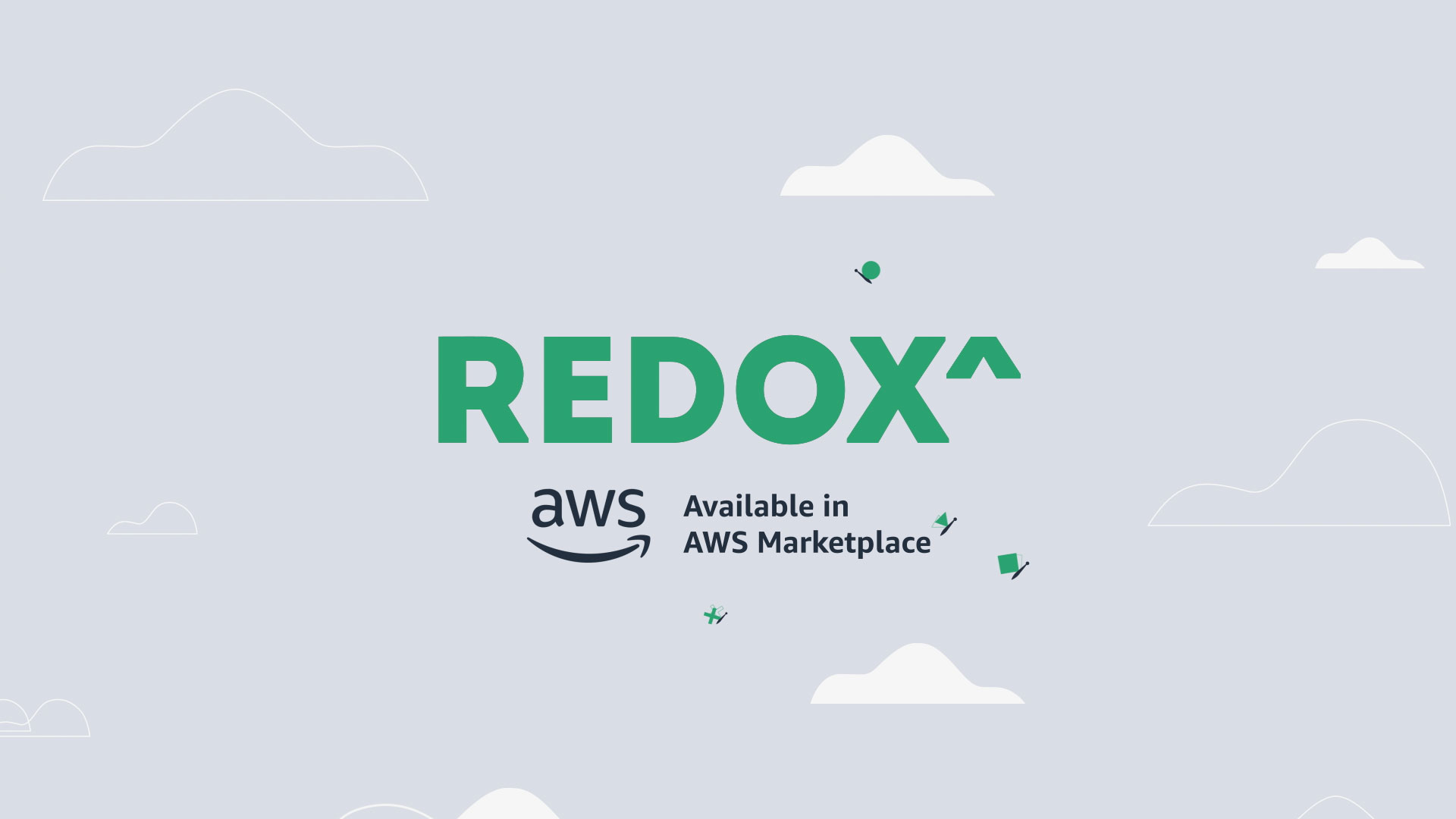 Redox Video Explainer