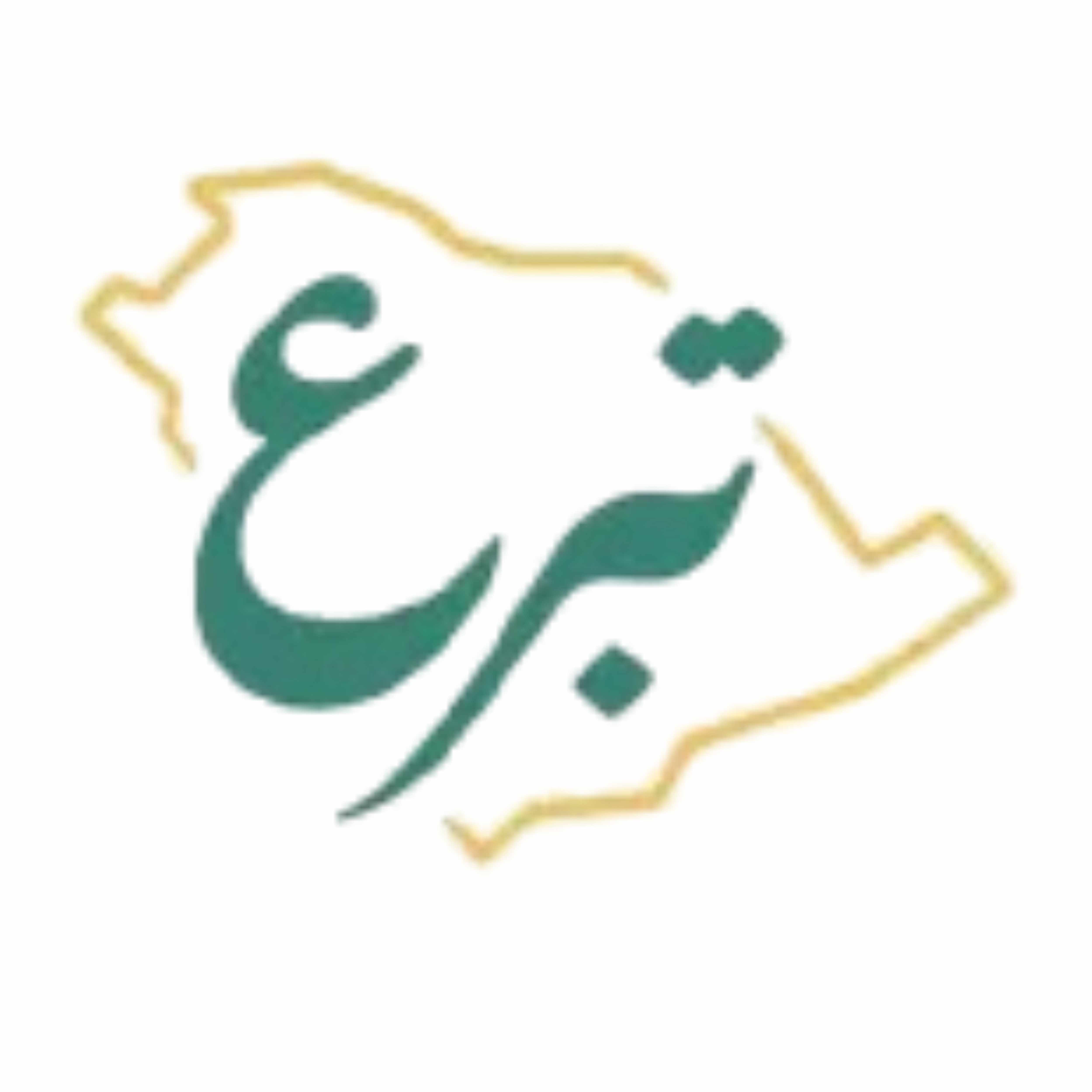 شريك (يرجى تأكيد الاسم)