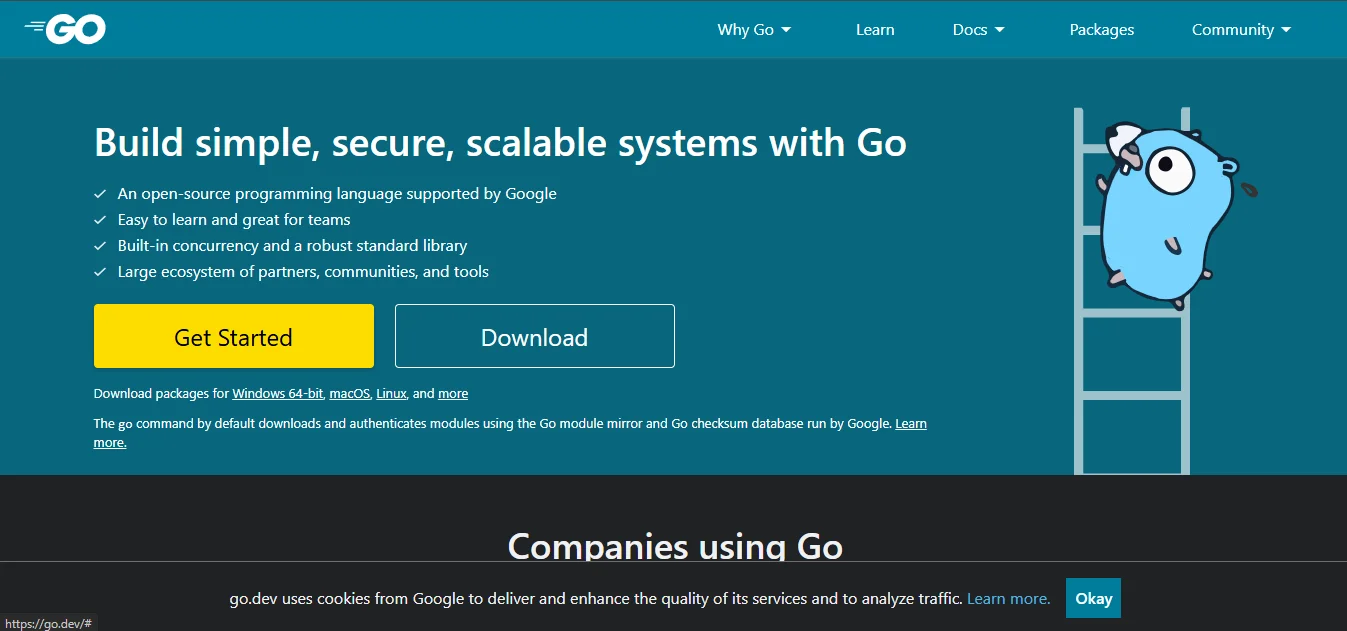 Go (Golang)