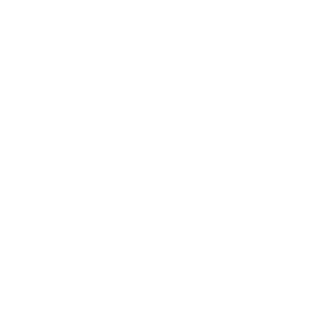 Regium Touch