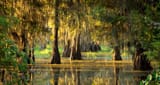 107.5 The Swamp (Gizmo Media Networks)