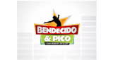 Bendecido y Pico