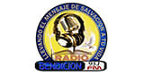 Bendicion 95.1 FM
