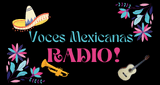 La_Romantica_99.5_Fm