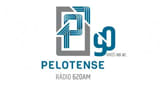 Rádio Pelotense