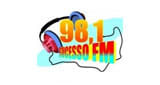 Sucesso FM 98.1