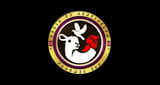 Radiotelesentinel