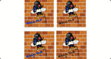 Wall Fly Radio