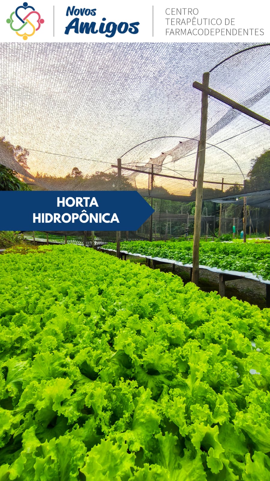 Protocolo de Laborterapia - Horta Hidropônica Terapêutica