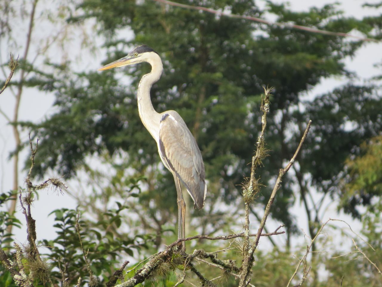 Natureza no ambiente da clínica
