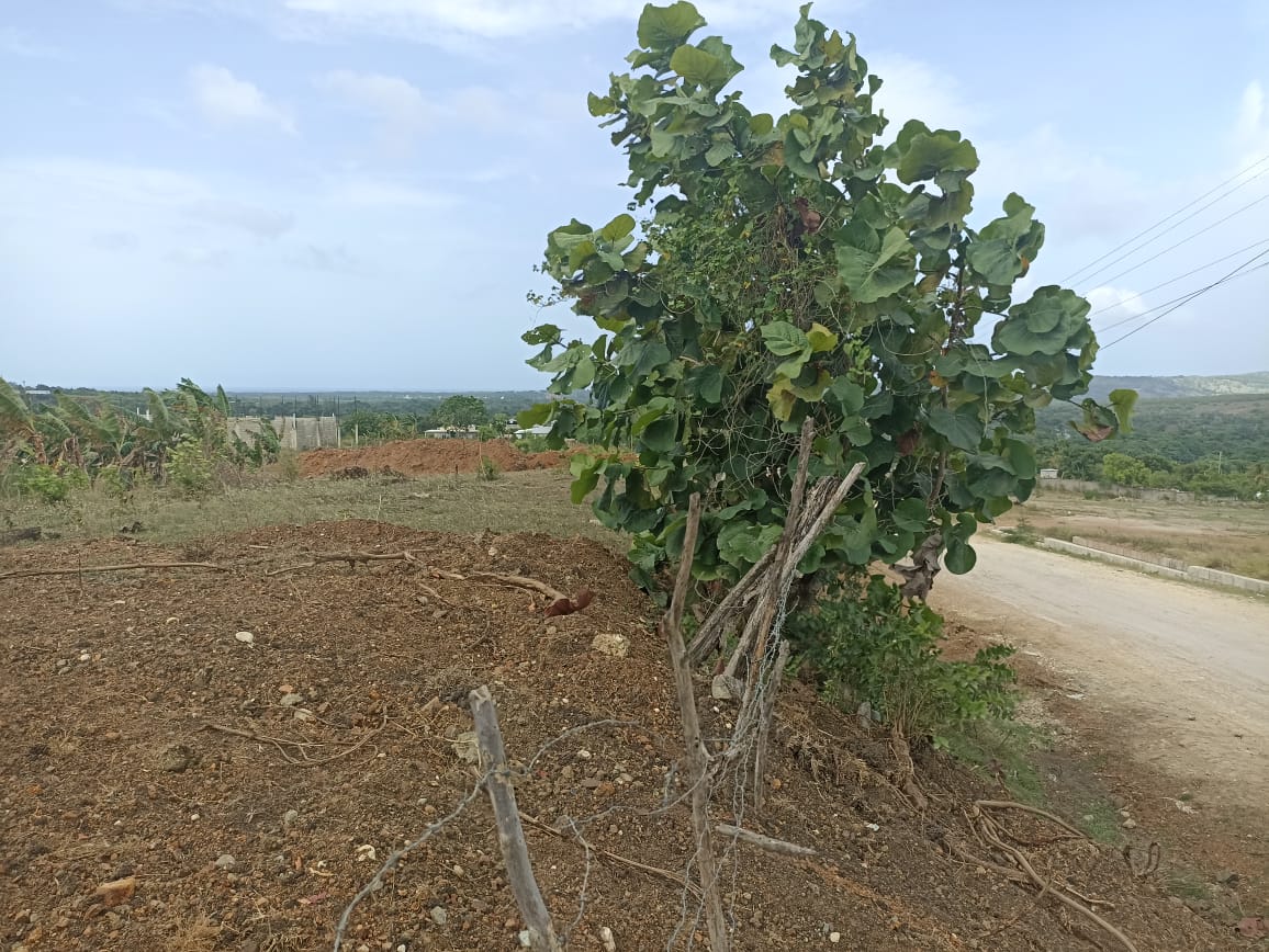 Solares en Camú - Puerto Plata