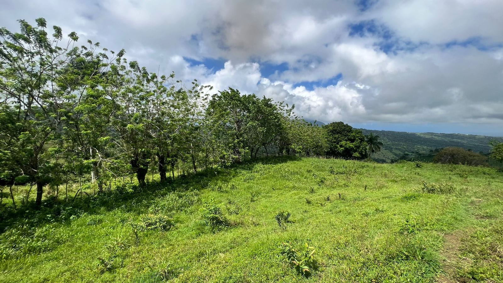Terreno en Venta en Puerto Plata – El Cupey