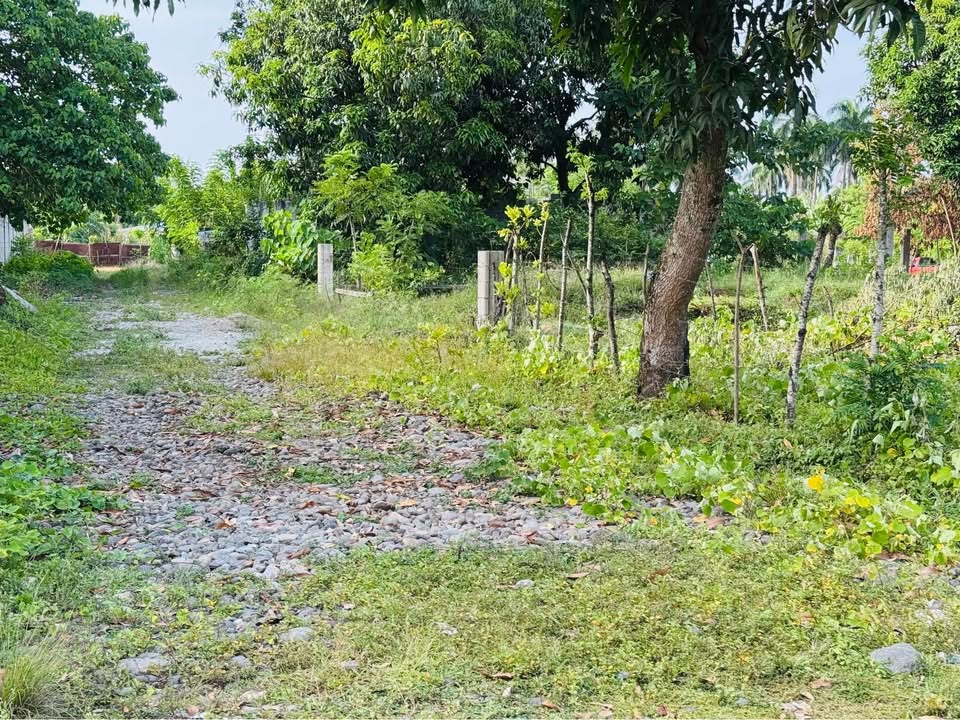 Solar 205 m² en Venta en Bonao │ Título Deslindado y Plusvalía