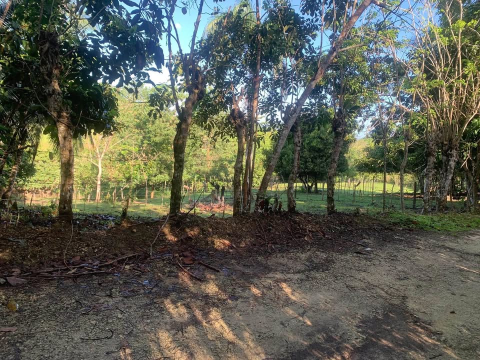 Solares en Río San Juan │Baratos