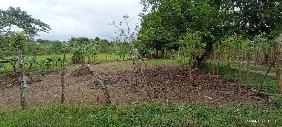 Solar en Sabaneta de Yásica Puerto Plata