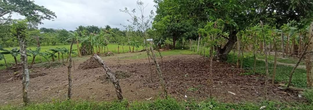 Solar en Sabaneta de Yásica Puerto Plata