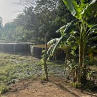 FINCA EN CRUCE DE RINCON, NAGUA