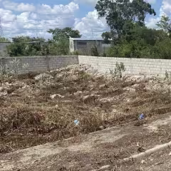 Solar en Boca Chica para Desarrollo de proyecto o vivienda