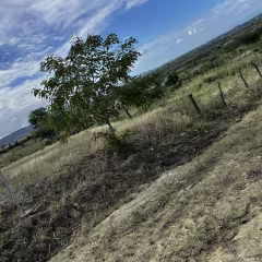 Solar de 101 m² en venta en La Barranquita, Santiago