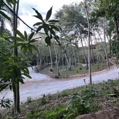 Terreno en montaña 