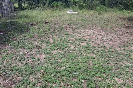Solar en Venta en Bávaro | Terreno Plano Ideal para Vivienda