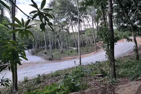 Terreno en montaña 