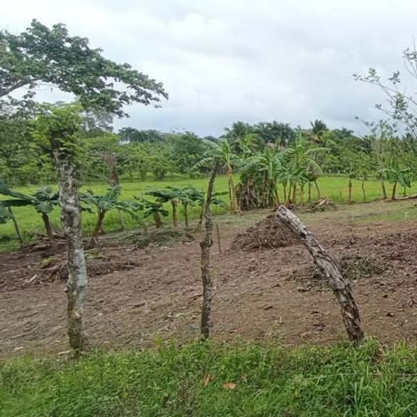 Solar en Sabaneta de Yásica Puerto Plata