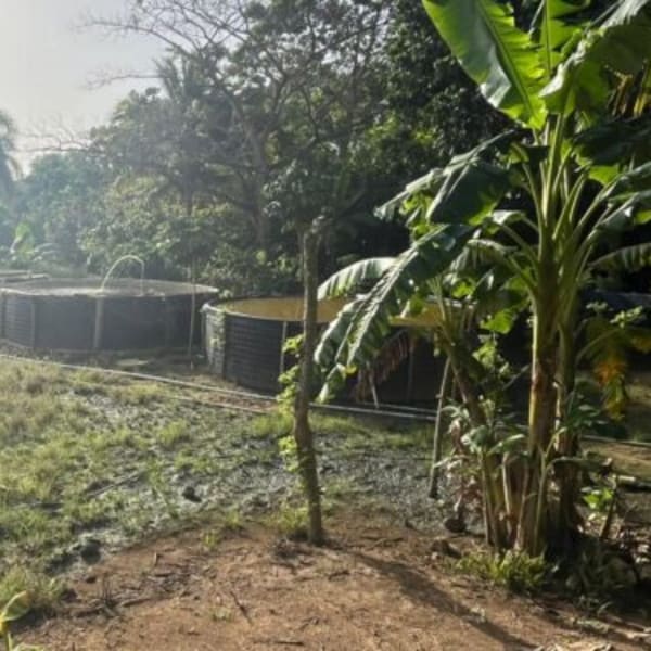 FINCA EN CRUCE DE RINCON, NAGUA