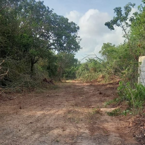 Terreno de 1,600 m² en Los Llanos de Juan Dolio a 400 m de la Autovía del Este