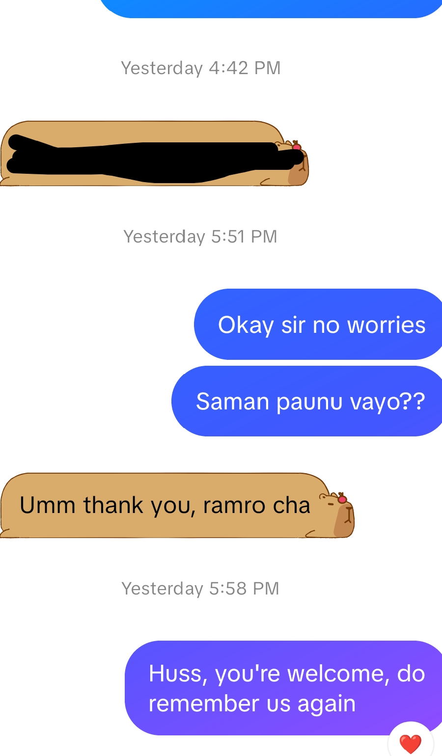 Screenshot of a customer conversation