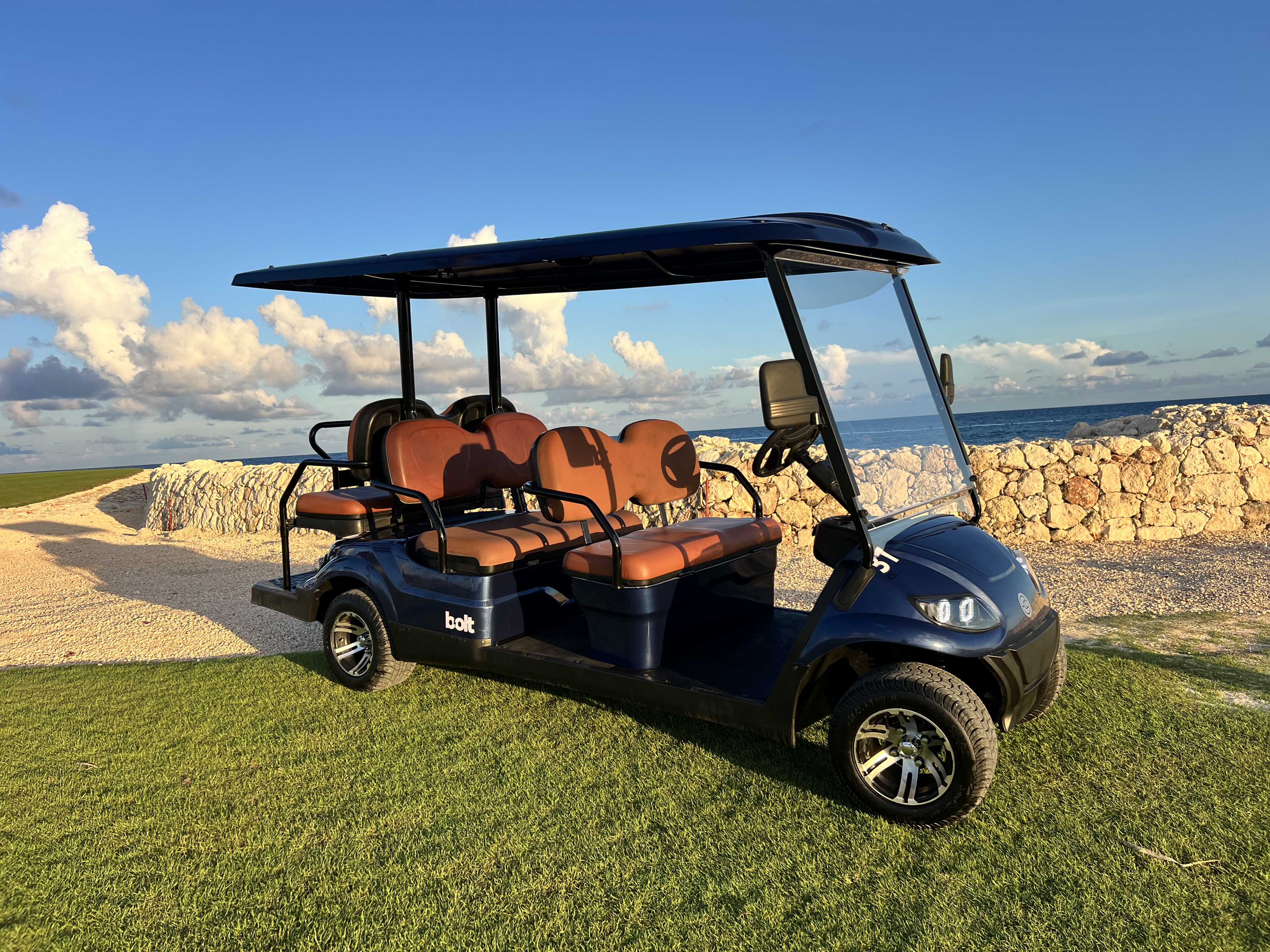 Premium golf cart