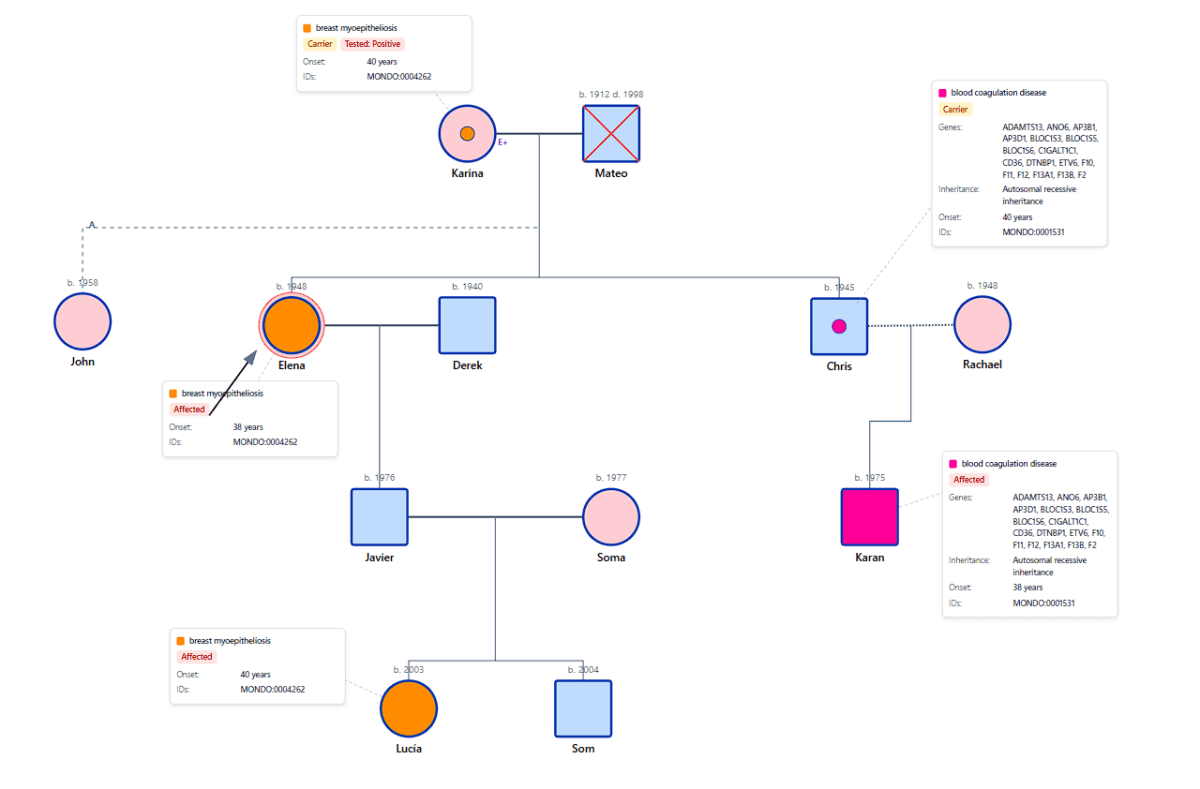 Medical Genetic Pedigree Chart - 4-generation pedigree showing hereditary conditions and genetic testing