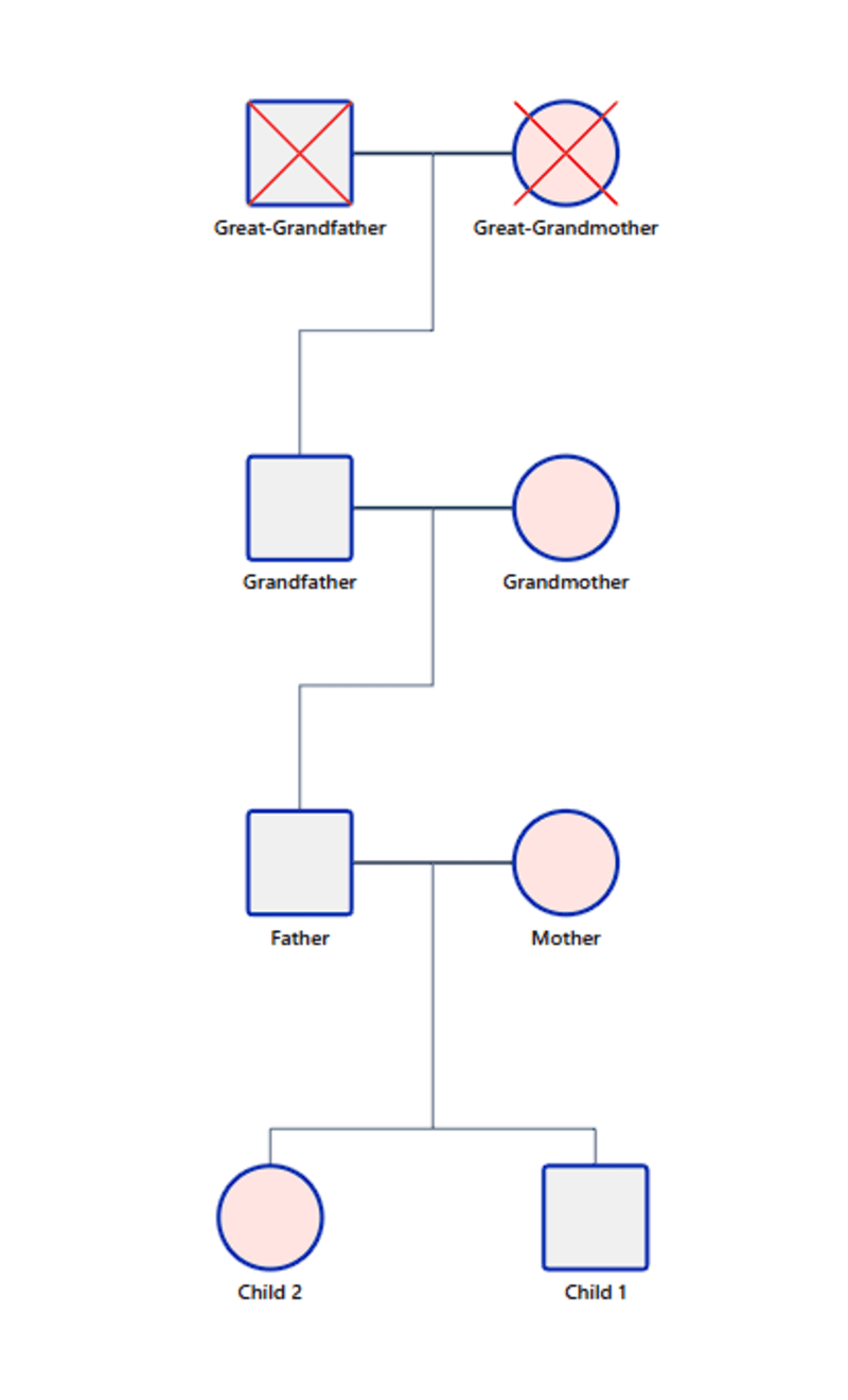 4 Generation Family Genogram Template