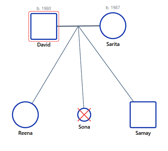 Triplets with Stillbirth Genogram Notation