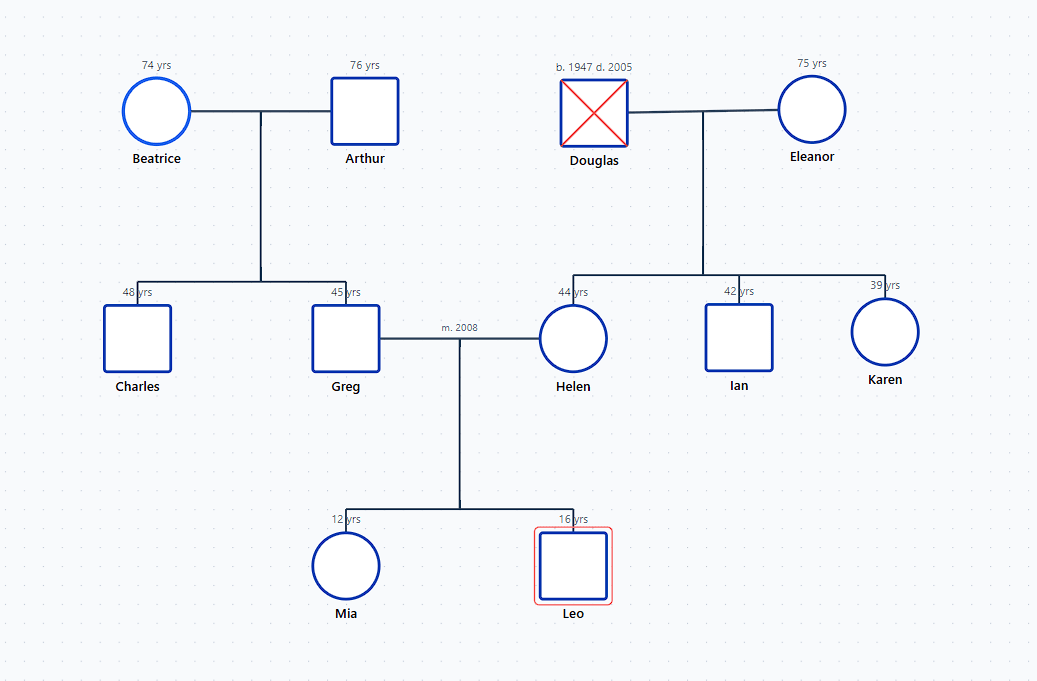 Figure 4: Adding Generation 3 with Index Person Double Border