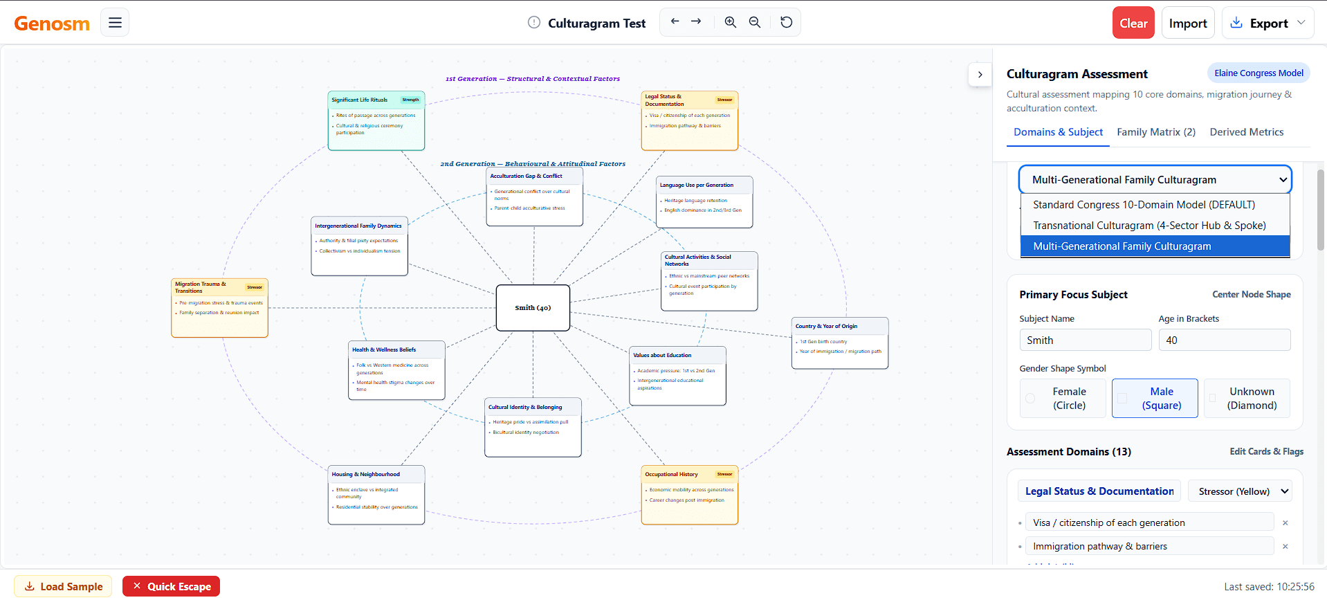 The interface of Culturagram assessment tool software